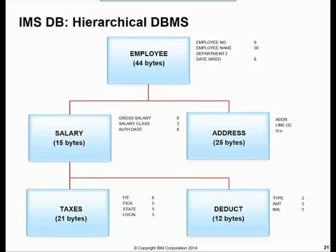 Visual chart of Hierarchical Databases